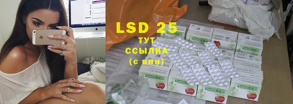 спиды Новозыбков