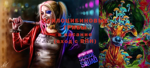 мяу мяу мука Нягань