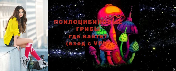 спиды Новозыбков